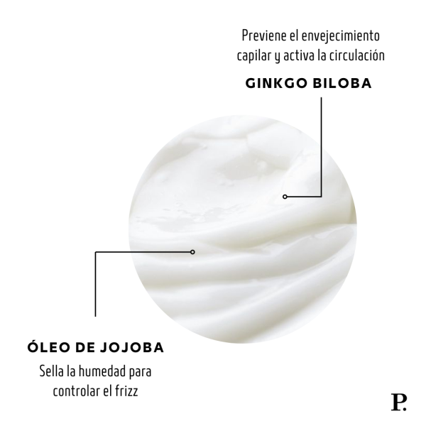 Tratamiento Repolarizador Reparación Intensiva - Imagen 4
