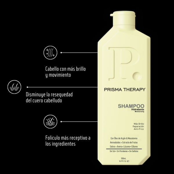 Shampoo Hidratante - Raiz normal/seca - Imagen 2